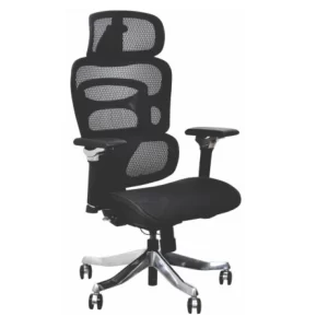 Premium Executive & Ergonomic Seating
