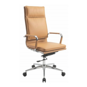 Sleek Chair