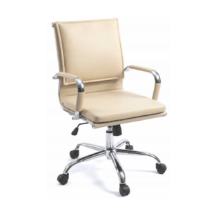 Sleek Chair